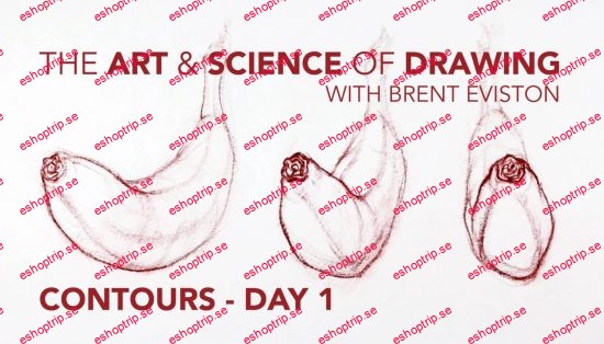 Contours Day 1 The Art & Science of Drawing