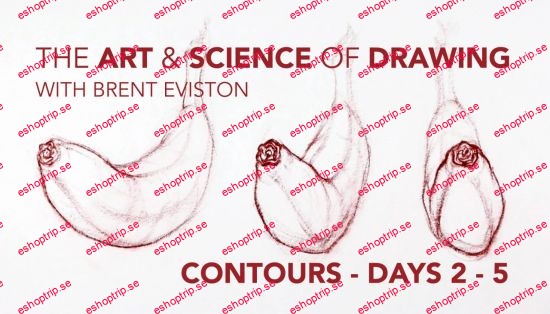 Contours Day 2 5 The Art & Science of Drawing