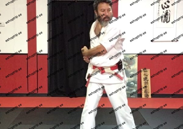 Dissect the Dissection of Isshinryu Naihanchi Kata