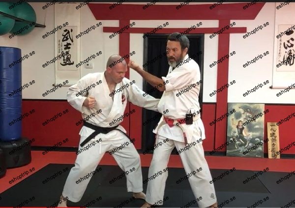 Dissect the Dissection of Isshinryu Naihanchi Kata Bunkai