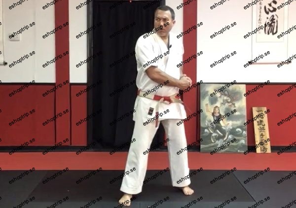 Dissect the Dissection of Isshinryu Seiunchin Kata