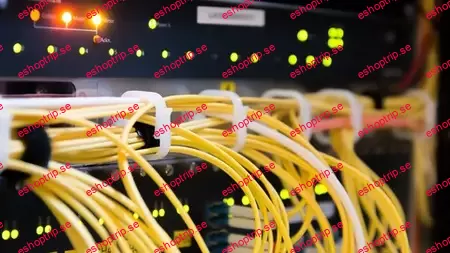 Hands on Cisco Packet Tracer Switching Labs