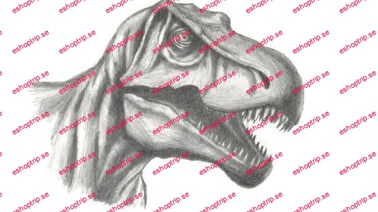 How to Draw an Amazing T Rex Sketching for Beginners