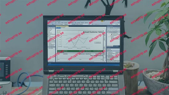 Implementing SSRS Report Layouts