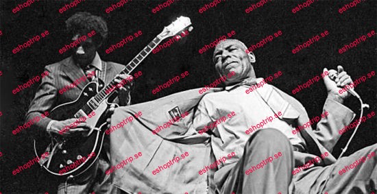 Lick Library Howlin' Wolf Guitar Song Lessons