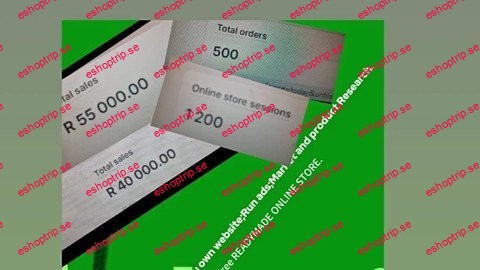 Master Dropshipping Build Your Profitable Online Store Fast