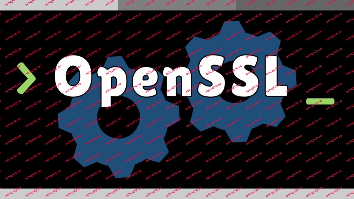 OpenSSL Training