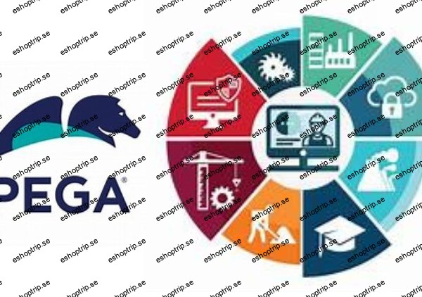 Pega CSA Course For Beginners