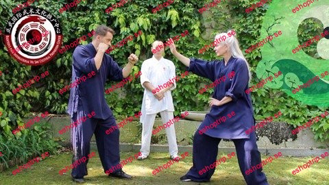 Tai Chi Eight Techniques & Applications With Master Yu Li