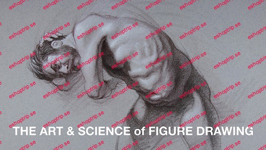 The Art & Science of Figure Drawing Shading