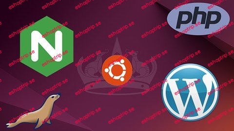 The Perfect Nginx Server Ubuntu (24.04) Edition