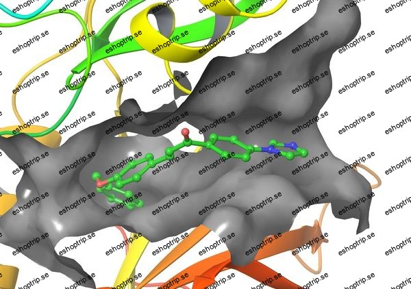 Virtual Screening for Drug Discovery