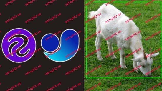 Complete Goat Detection and Counting Using YOLOv11