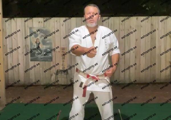 Dissect the Dissection of Isshinryu Chinto Kata