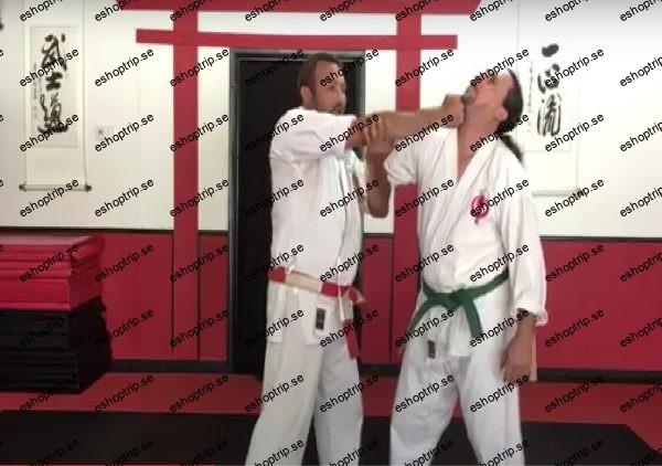 Dissect the Dissection of Isshinryu Karate Wansu Bunkai