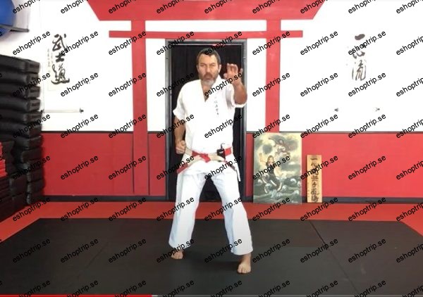 Dissect the Dissection of Isshinryu Karate Wansu Kata