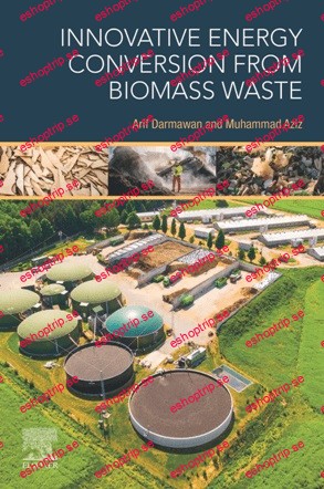 Innovative Energy Conversion From Biomass Waste