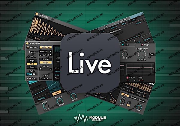 Master Ableton Live 12 Electronic Music Production Course