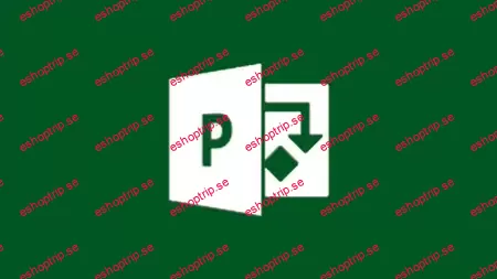 Microsoft Project Professional Red Zuma Project Case Study