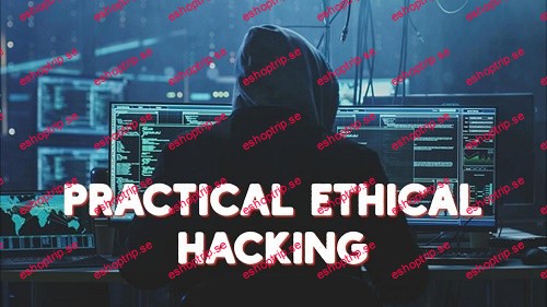 Practical Ethical Hacking TCM