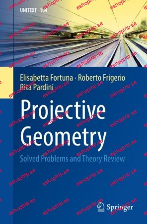 Projective Geometry Solved Problems and Theory Review