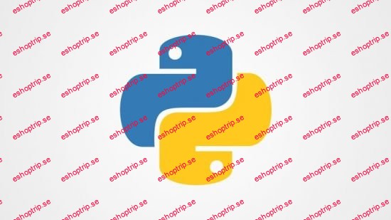 Python Fundamentals A Comprehensive Beginner's Guide